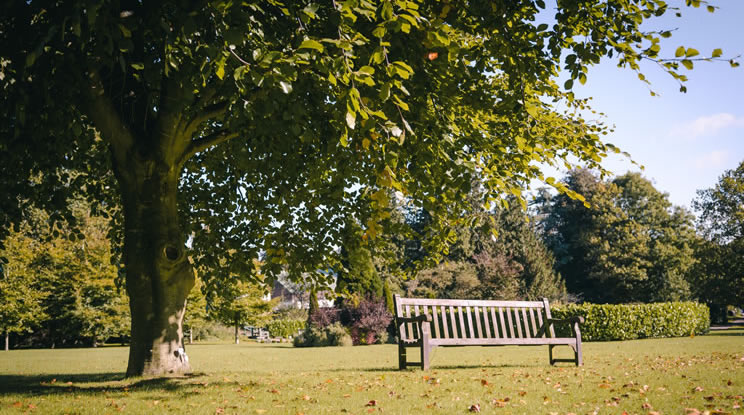 View across the lawns towards the memorial gardens and buildings (744)