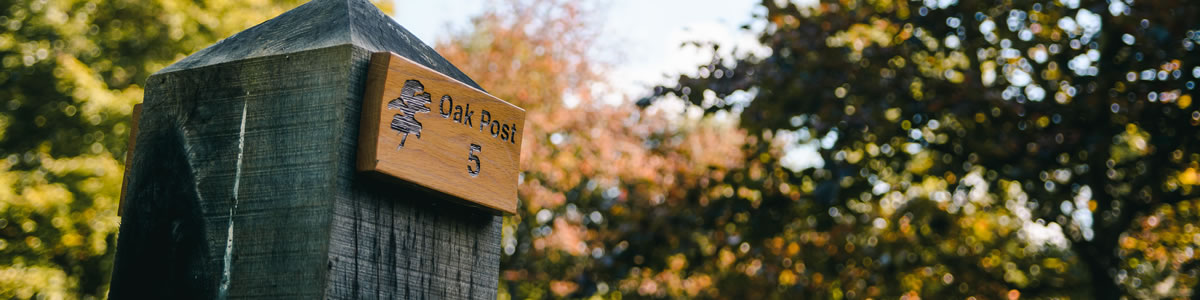 Memorials - Oak posts